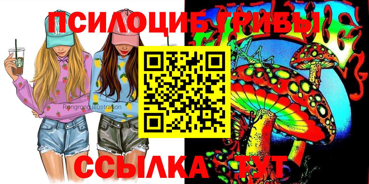 Северск  Галлюциногенные грибы Psilocybine cubensis  Вход с VPN 